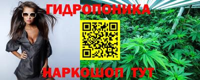 эйфоретик Канаш