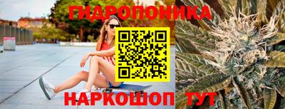 jwh Кандалакша