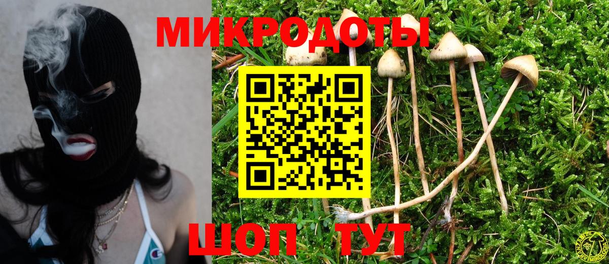 Люберцы  Псилоцибиновые грибы Psilocybine cubensis  Вход с VPN 